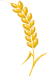 spike