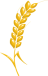 spike